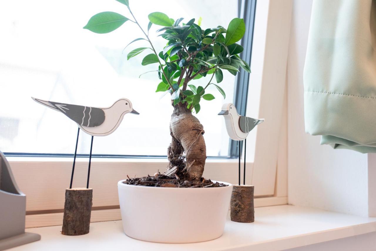 Apple Tree Apartment 블레드 외부 사진